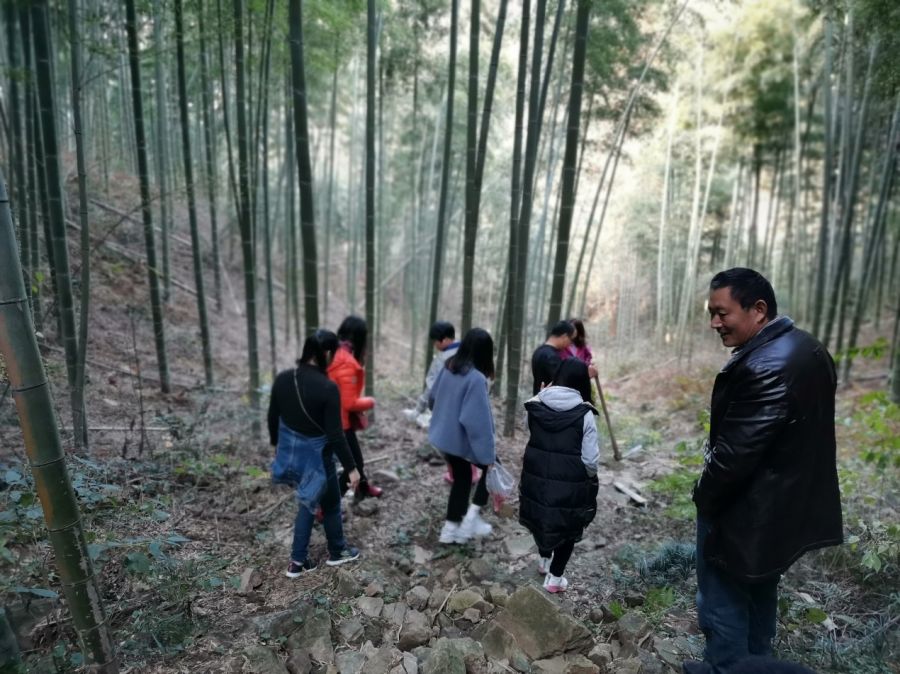竹意赐壁 和谐共筑
